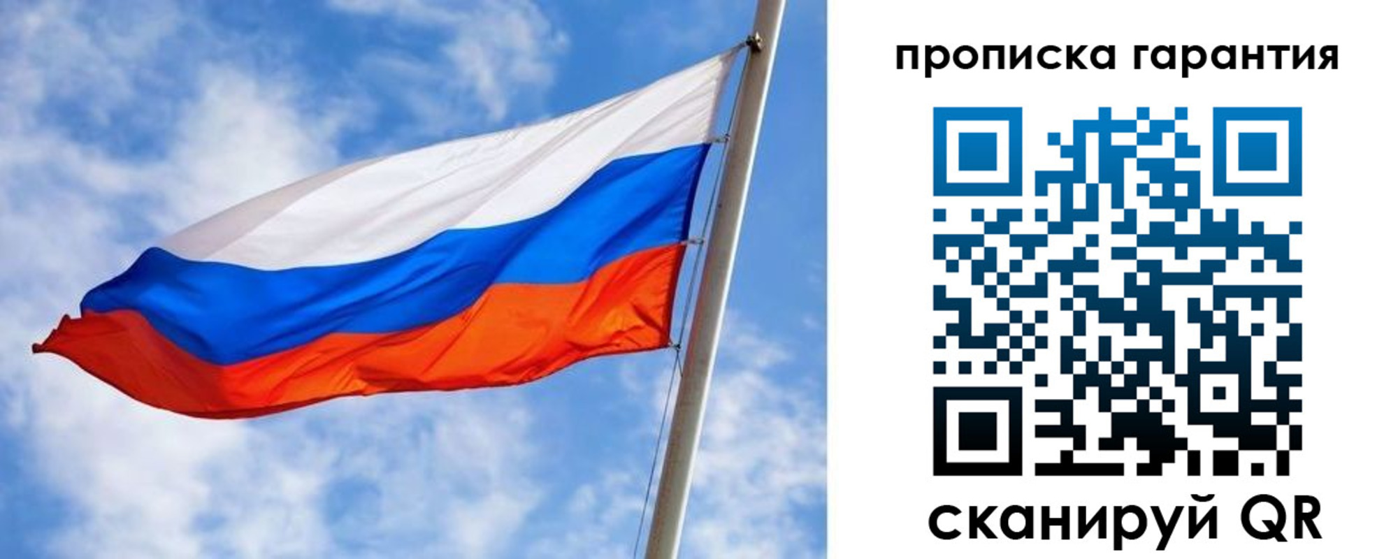 прописка гарантия в Владимирской области
